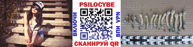 площадка формула  Нариманов  Псилоцибиновые грибы Magic Shrooms 
